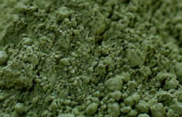 Spirulina is an amazing source of nutrients